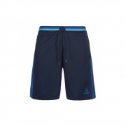 Шорты Adidas Condivo16 Training (синий) фото
